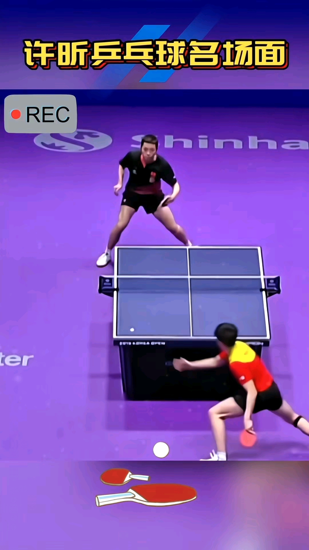 德国乒乓球队绝地反击日本乒乓球队,许昕制霸全场 德国乒乓球队绝地反击日本乒乓球队,许昕制霸全场