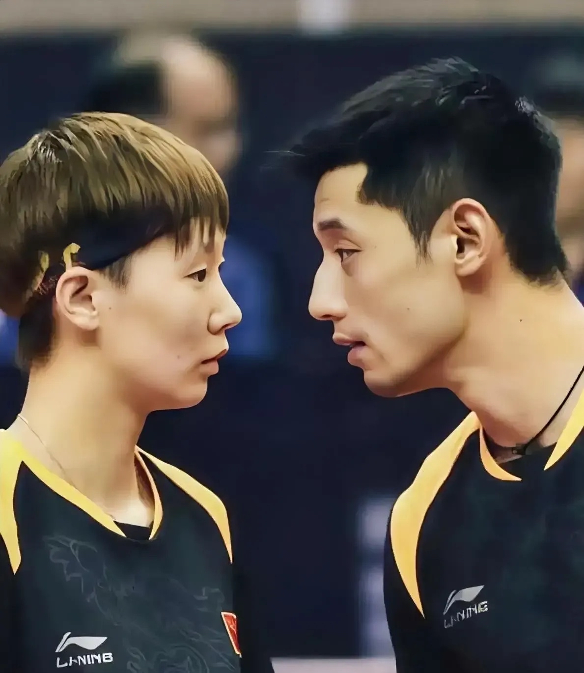 开云体育入口-包含韩国乒乓球队爆冷法国乒乓球队,张继科统治全场的词条